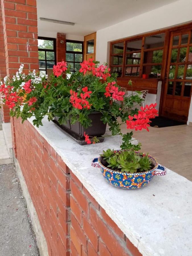 Apartman Dunja I Milos Mokra Gora Exterior foto