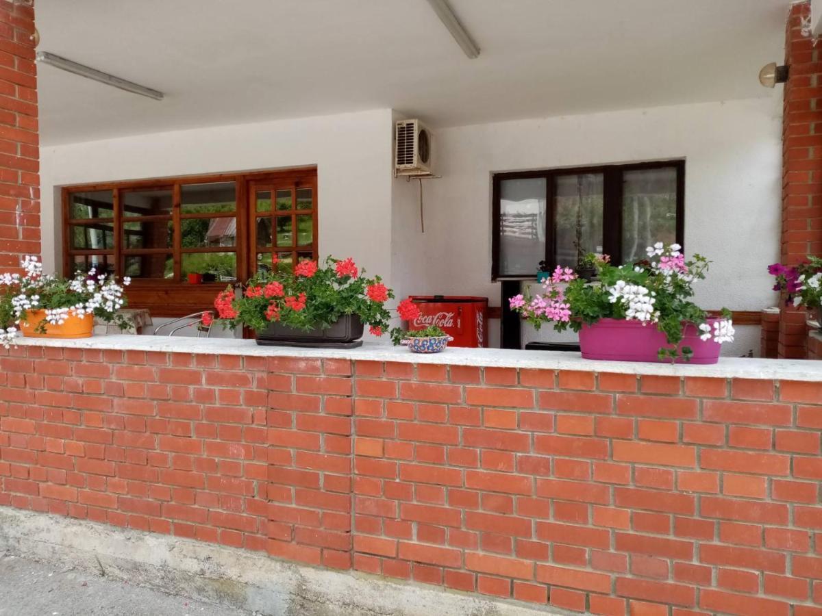 Apartman Dunja I Milos Mokra Gora Exterior foto